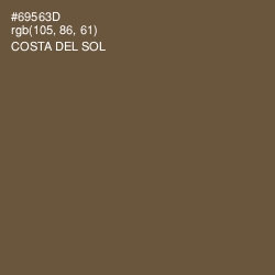 #69563D - Costa Del Sol Color Image